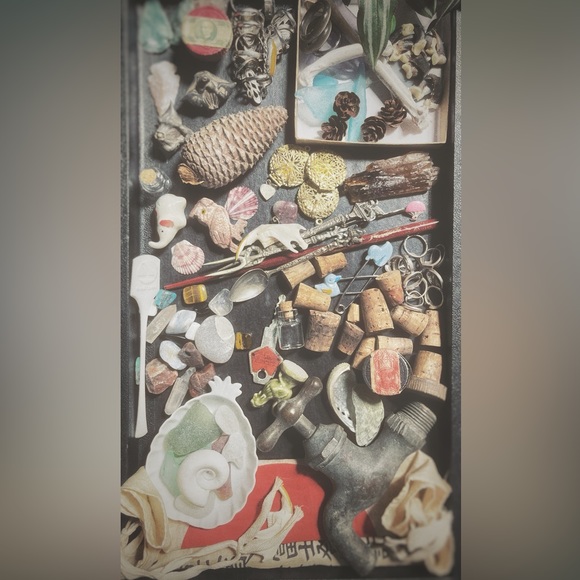 Oddities & Curiosities MYSTERY Box - Picture 3 of 8